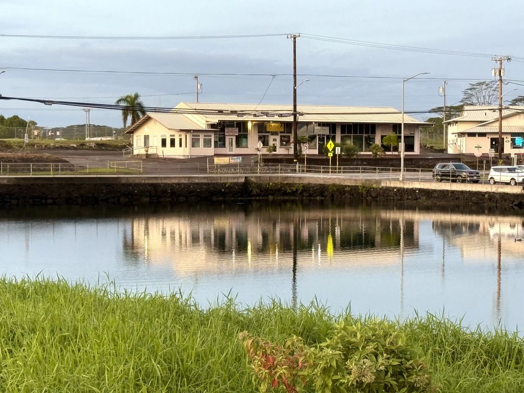 92 Kalanianaole St, Hilo