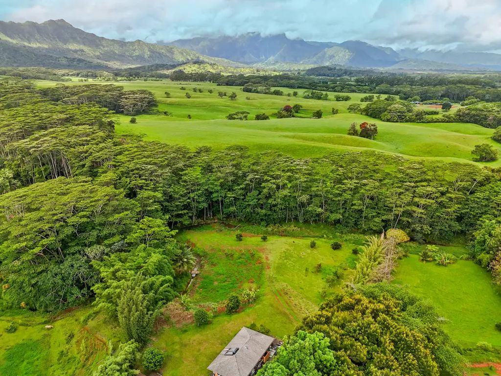 1636-b Huli Rd, Kilauea