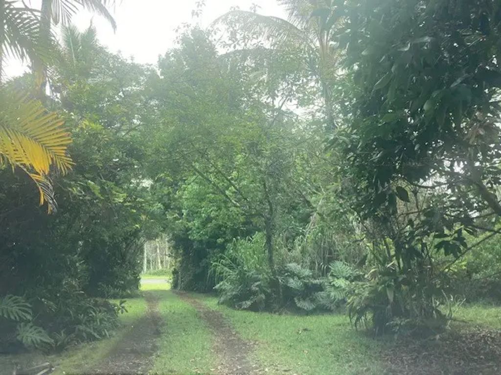 16-1265 40th Ave, Keaau