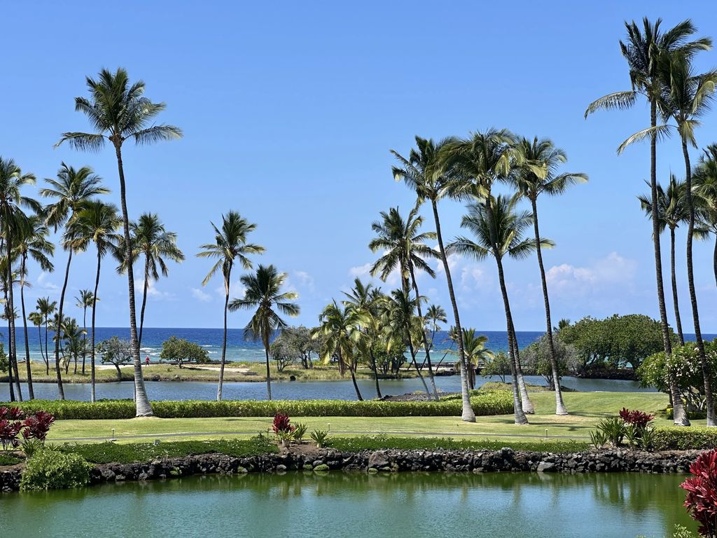 68-1399 Mauna Lani Dr D201, Kamuela
