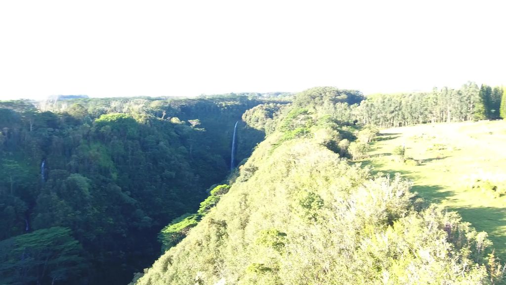 Kaiwiki Homestead Rd, Hakalau