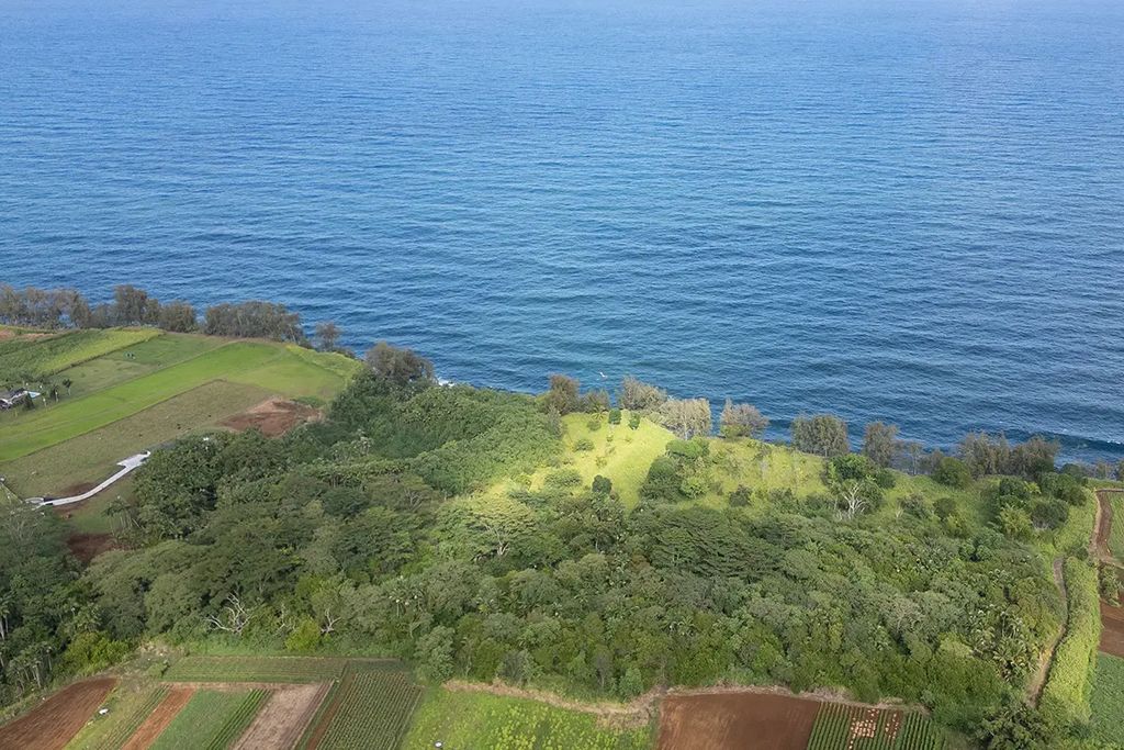 28-110 Kulaimano Homestead Road, Pepeekeo