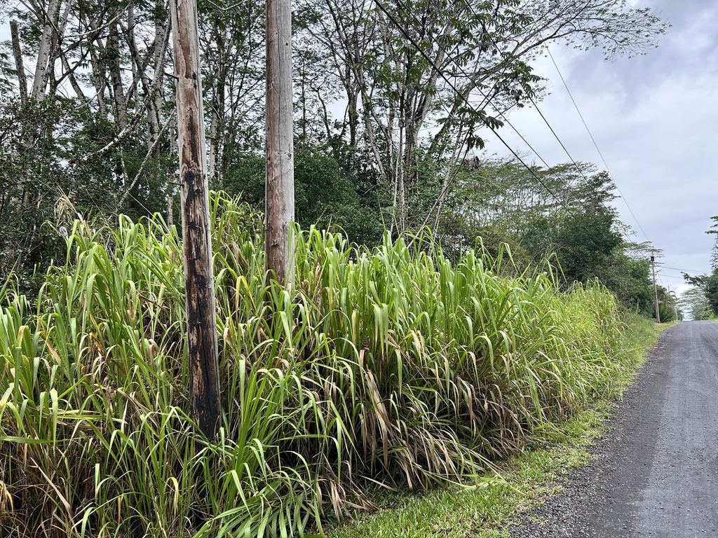 14th Ave, Keaau