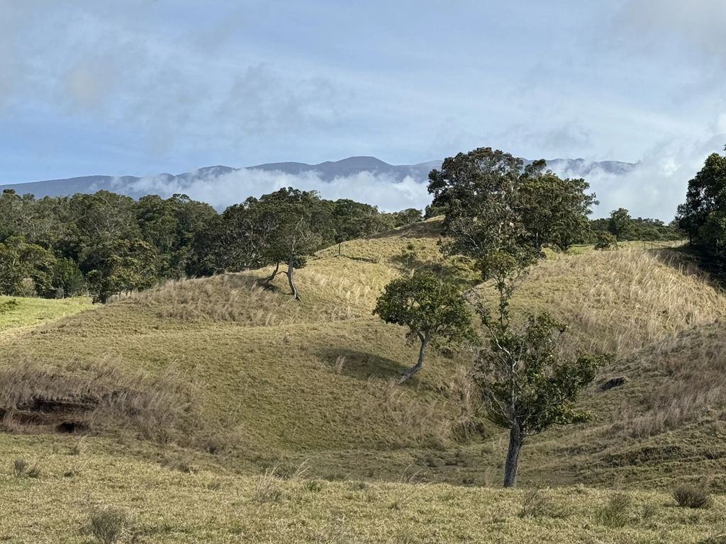 44-2135 Pohakealani Rd, Honokaa