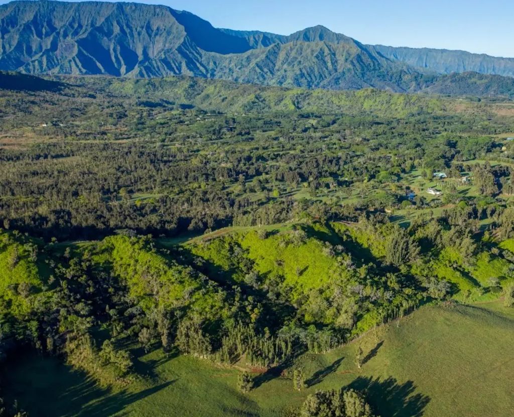Kuhio Hwy, Kilauea