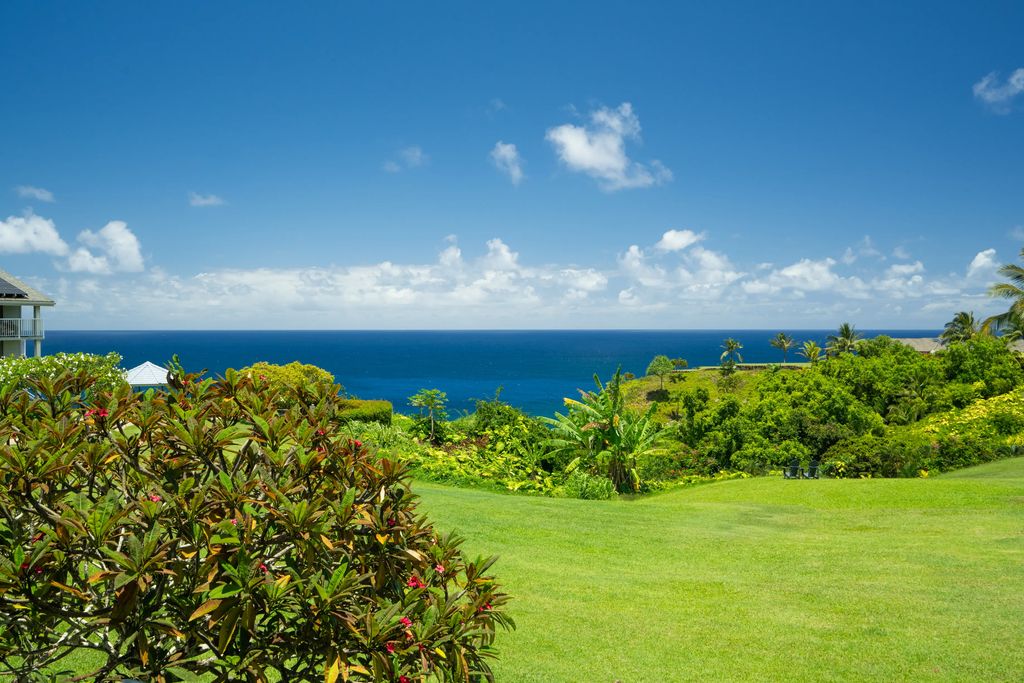 3811 Edward Rd 7201, Princeville