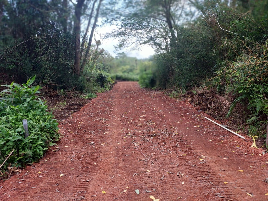 17-737 Ala Loop, Mountain View