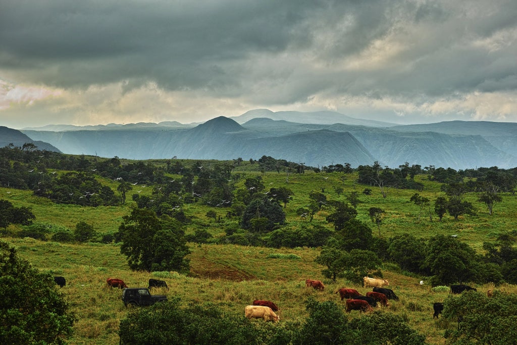 47-5343 Waikoekoe Ln, Honokaa