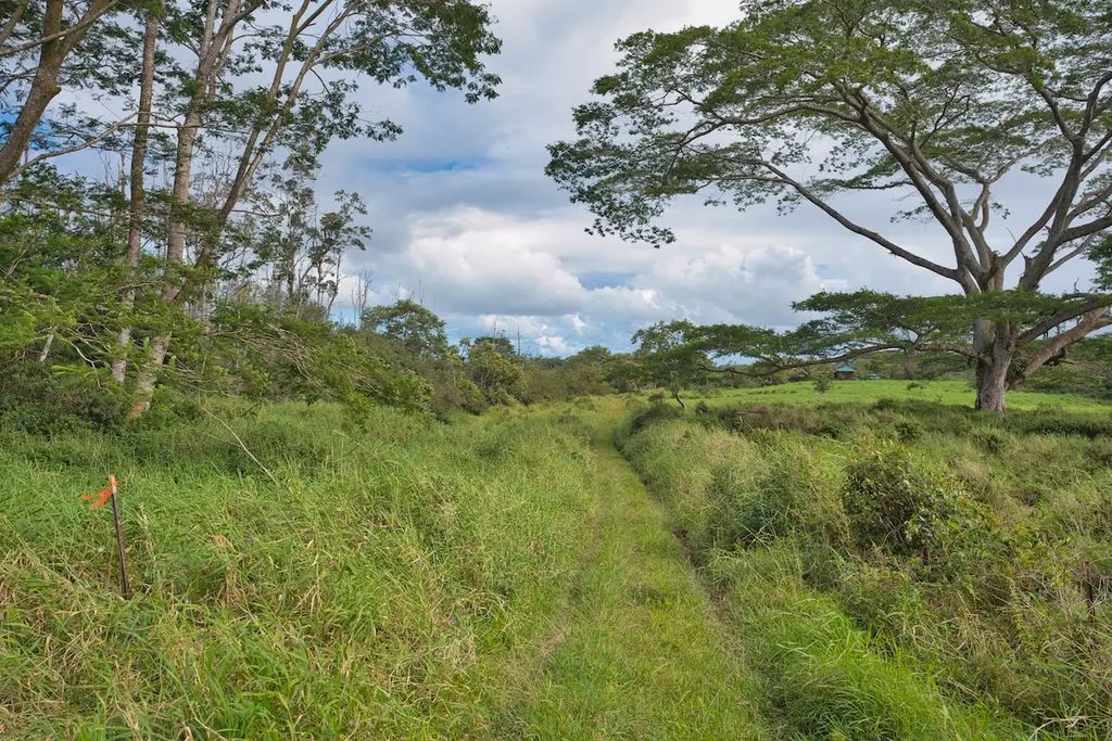 15-230 North Rd, Pahoa