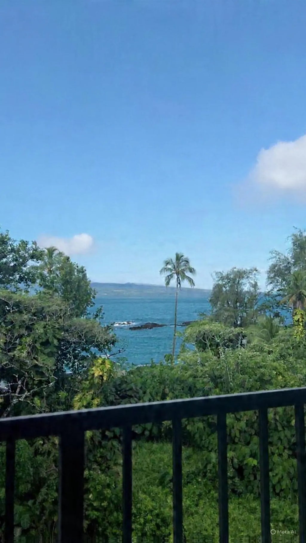 2405 Kalanianaole St 503, Hilo