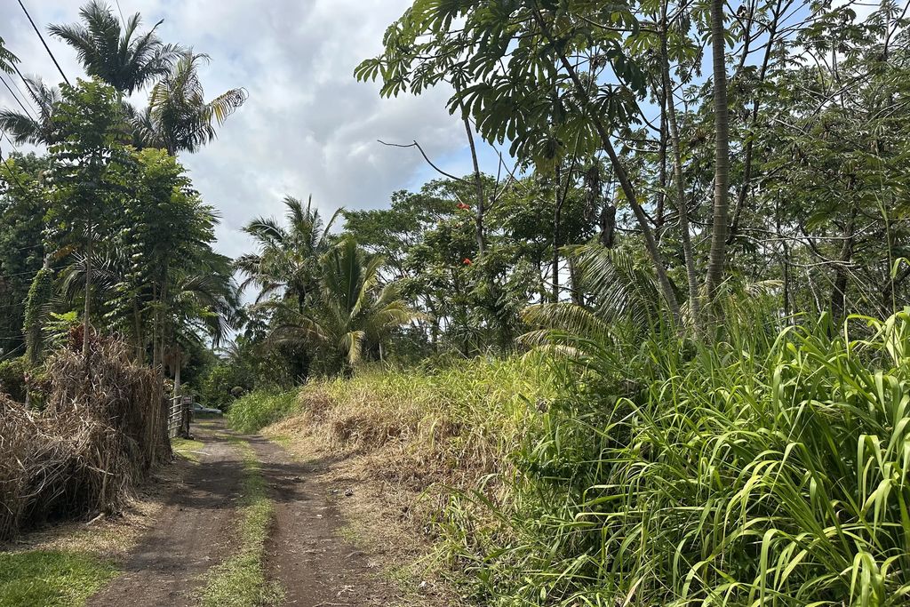 Tiki Rd, Keaau