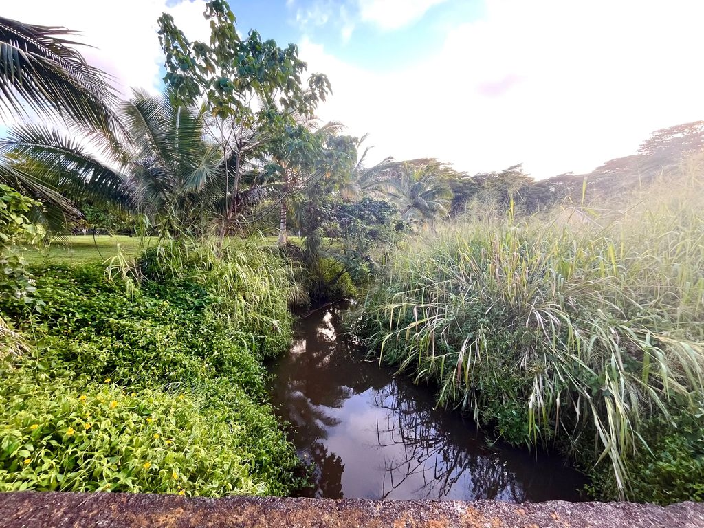 Uilama Pl 4x, Kapaa