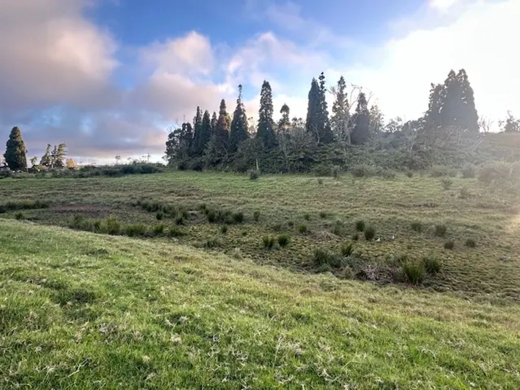 19-5830 Mahiai Rd, Volcano