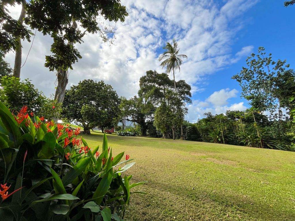 6546-d Kuamoo Rd 5, Kapaa