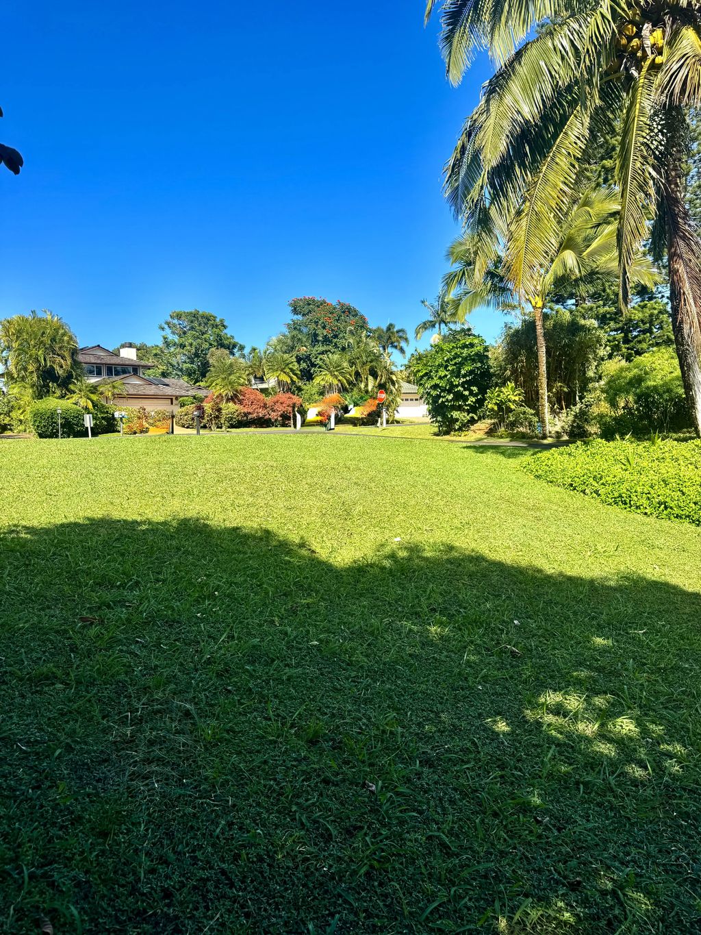 5339 Honoiki Rd, Princeville