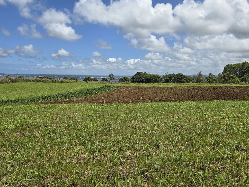 Puia Road, Hilo