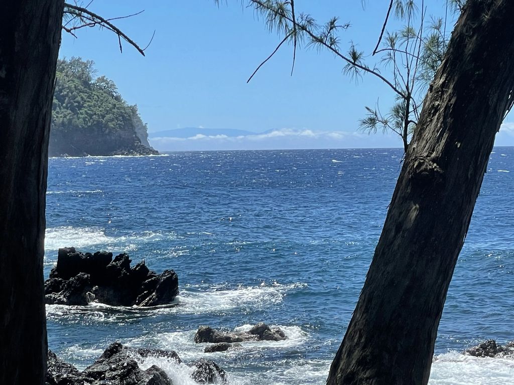 36-1070 Laupahoehoe Point Rd, Laupahoehoe