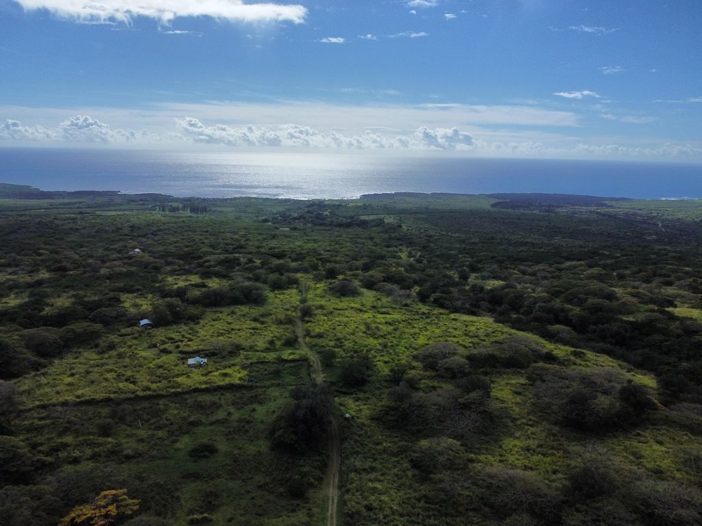 N/A, Naalehu