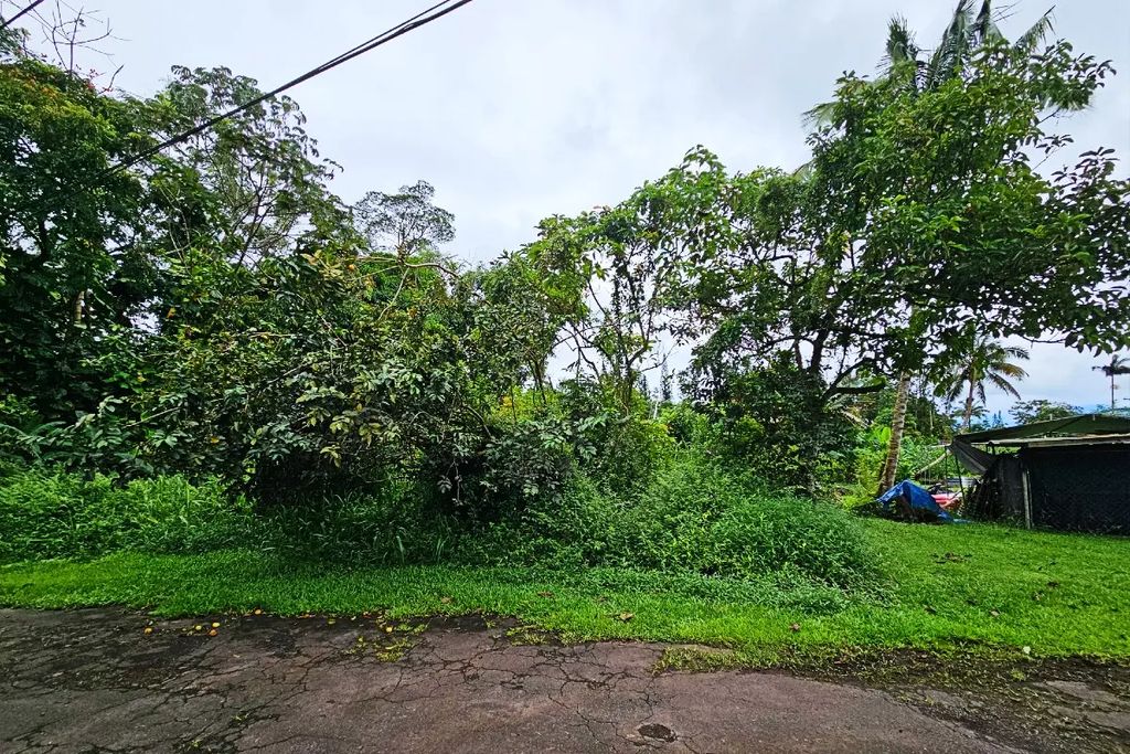 Driftwood Rd Lot 202, Pahoa