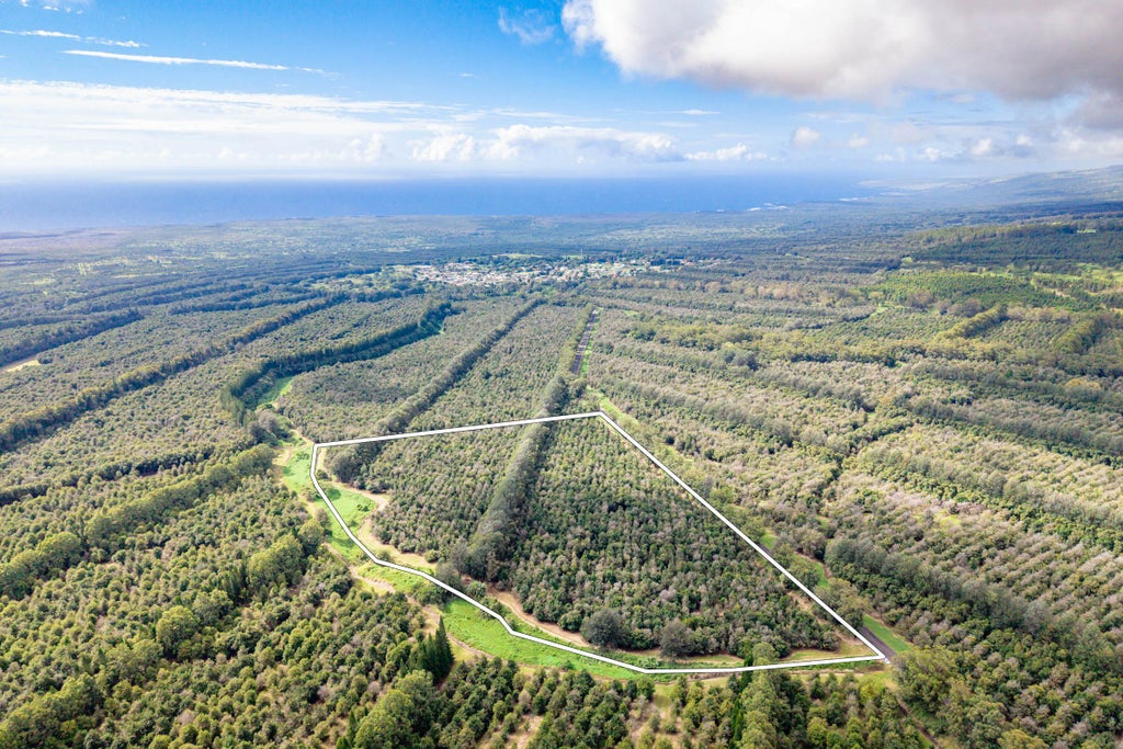 96-2865 Wood Valley Rd, Pahala