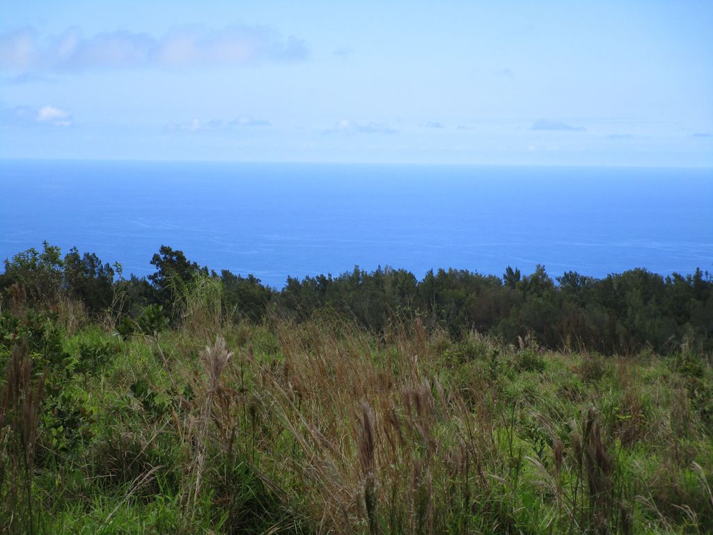 36-660 Spencer Rd, Laupahoehoe
