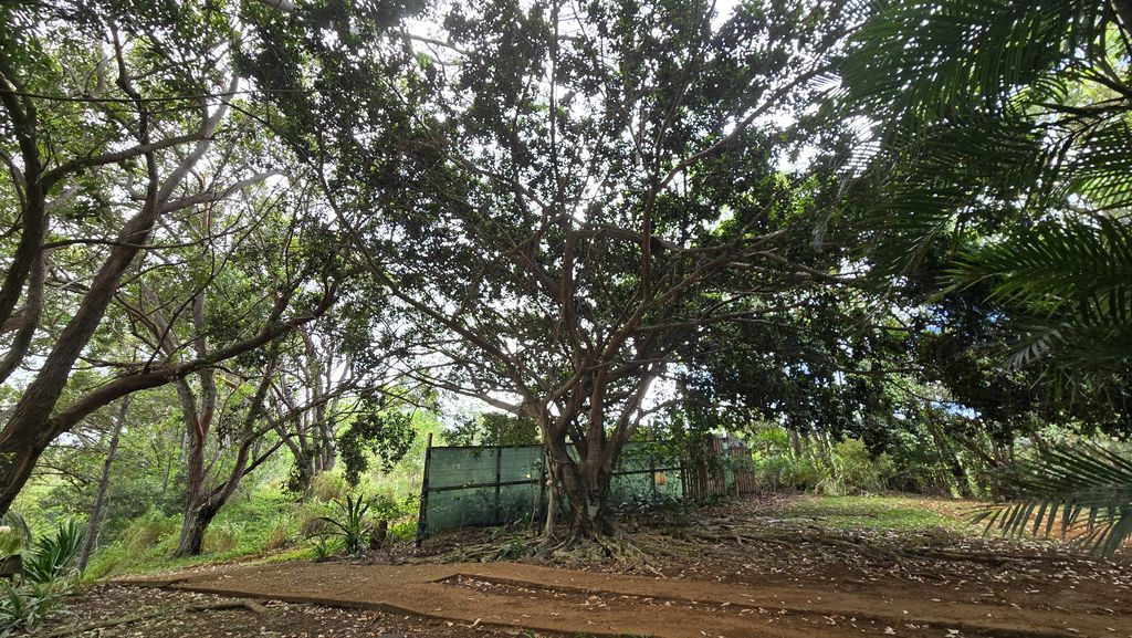 3215-c Wawae Rd, Kalaheo