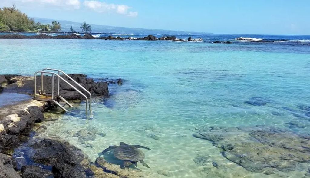 1875 Kalanianaole Ave 209, Hilo