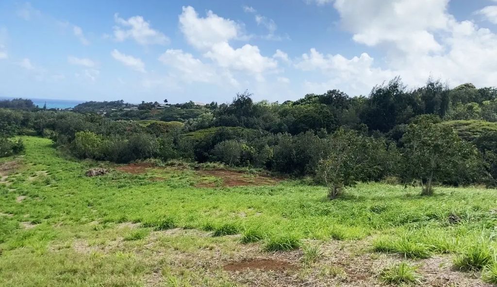 Laipo Rd, Kapaa