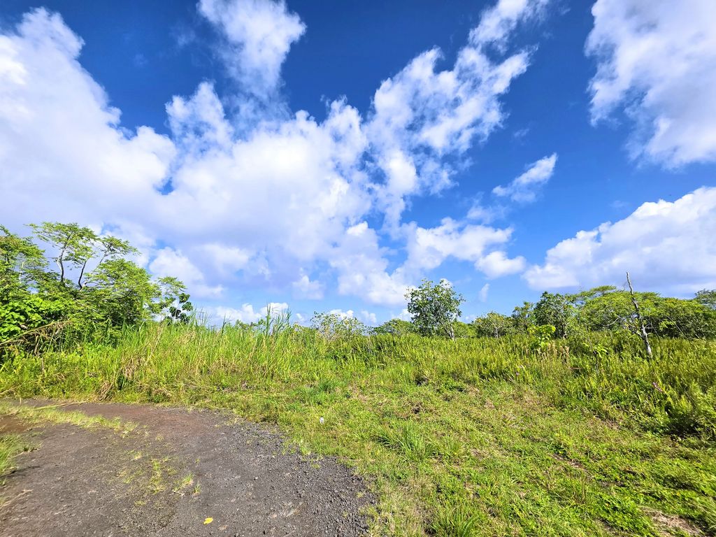 Pohoiki Kalapana Rd, Pahoa