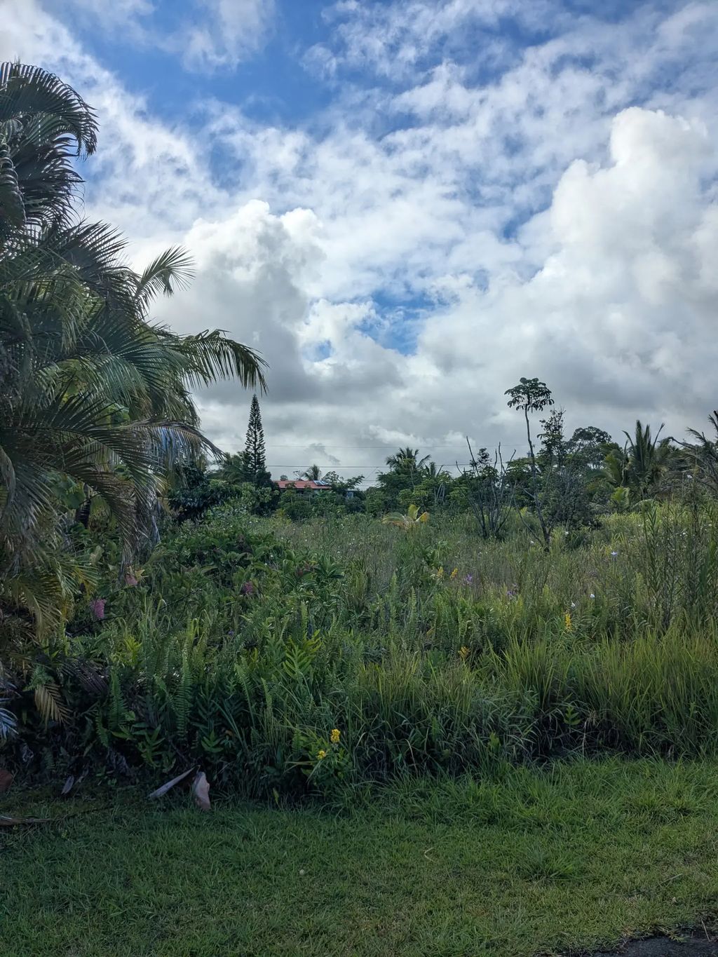12-7056 Eelekoa St, Pahoa