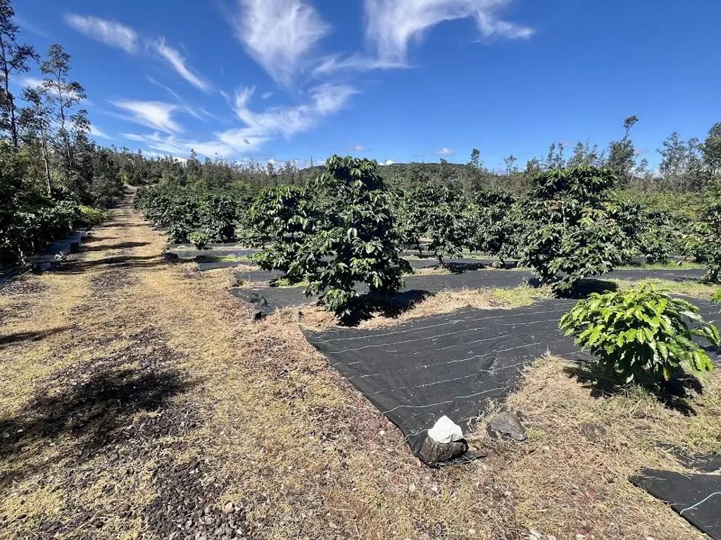 Road 4 (io Kea), Mountain View