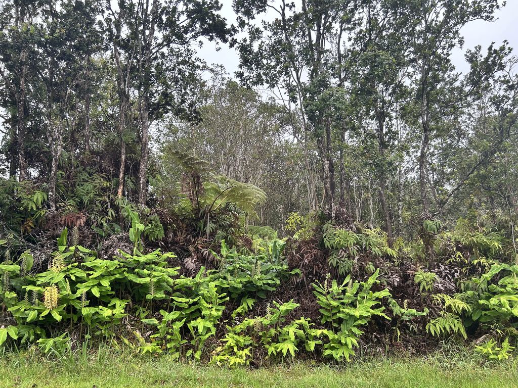 Alaula St, Volcano