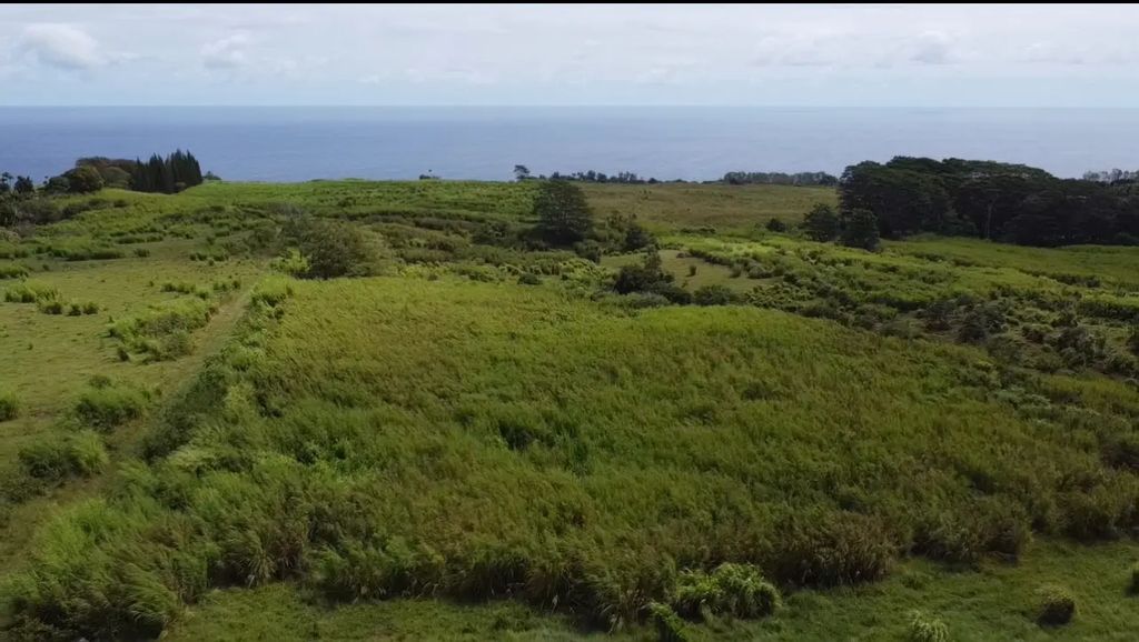 1-3 Private Rd, Hakalau