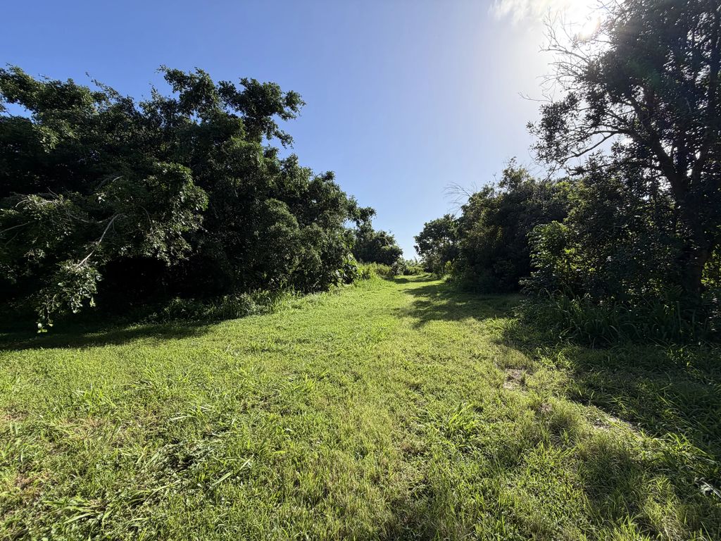 13-2056 Lolia Pl, Pahoa