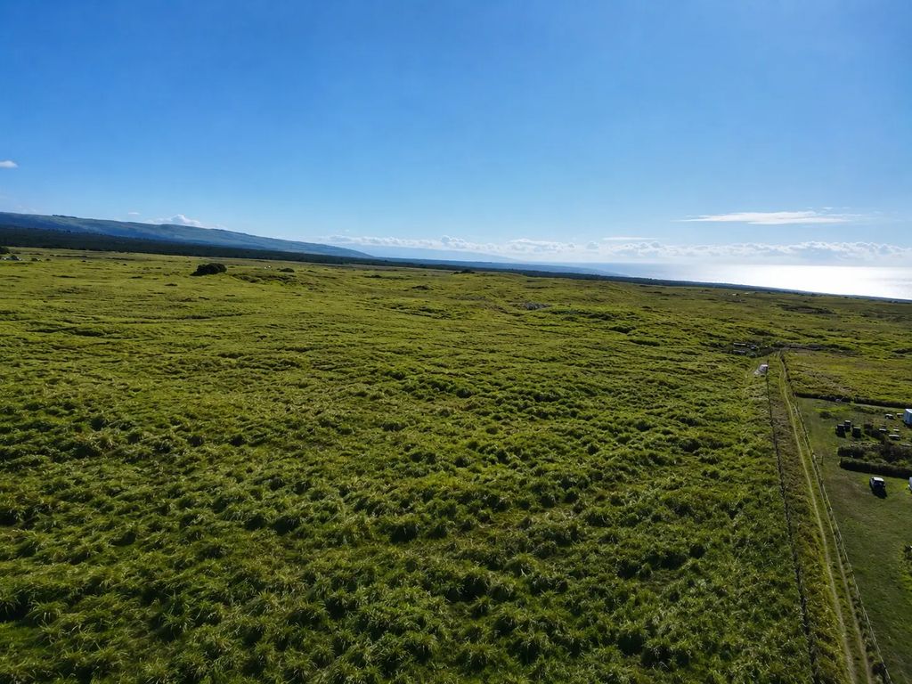 N/A, Naalehu