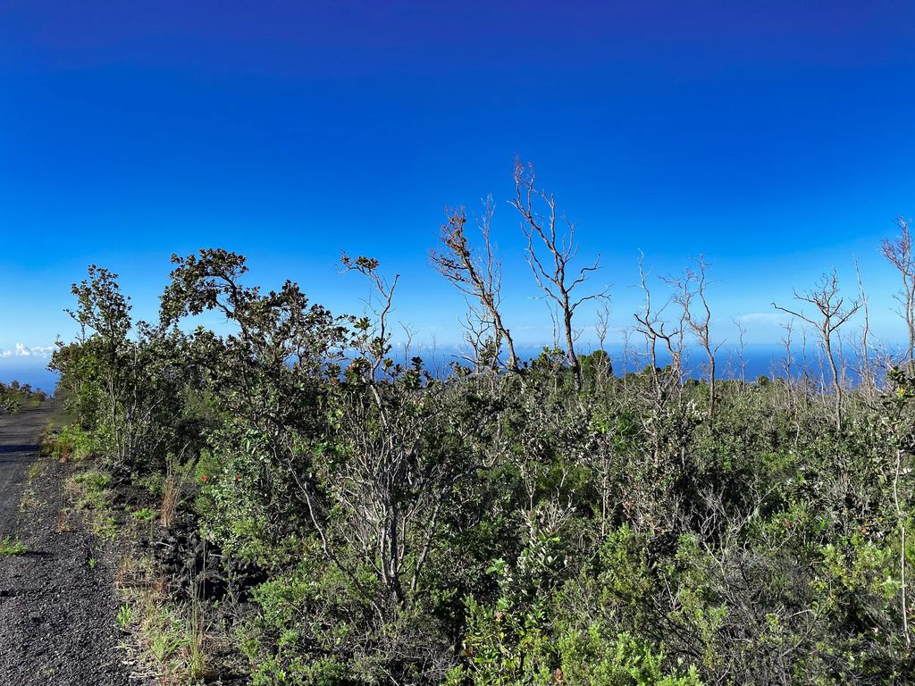 Tiki Ln, Ocean View