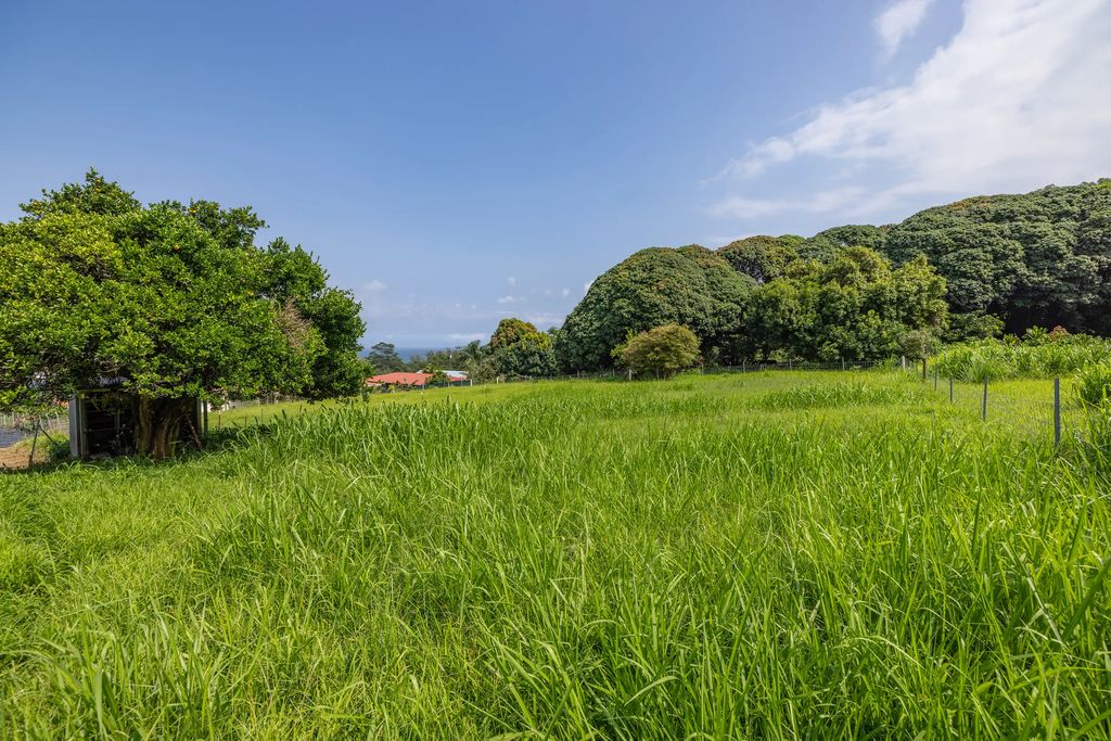 Old Mamalahoa Highway, Hakalau