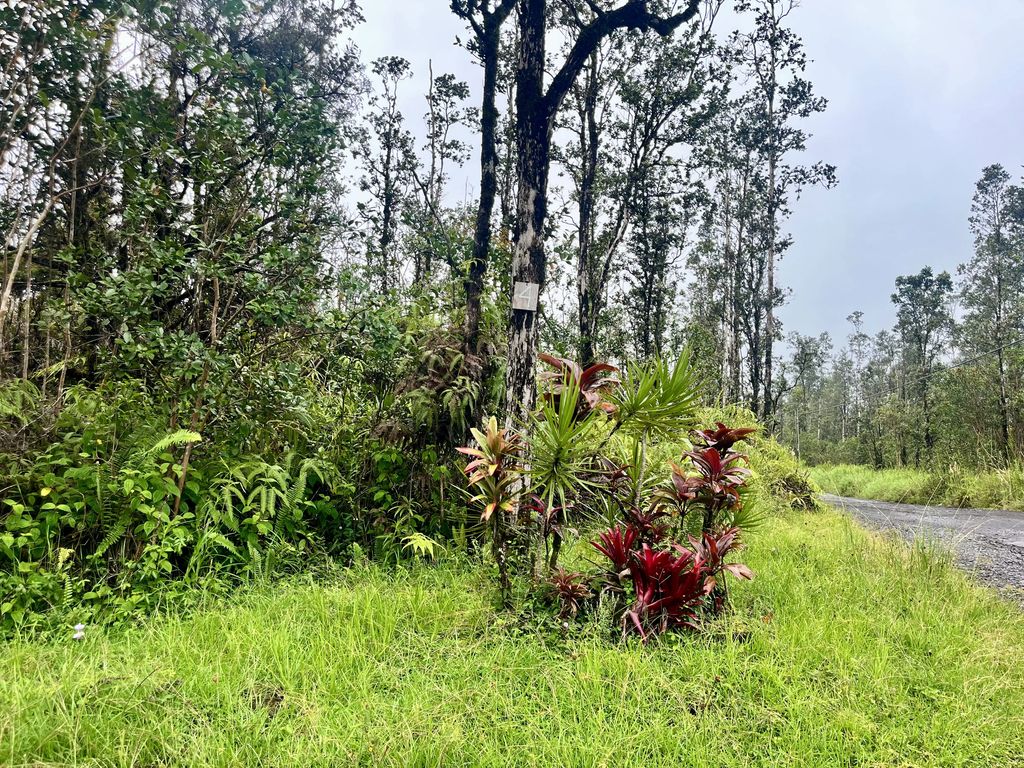 Road 4 (io Kea), Mountain View