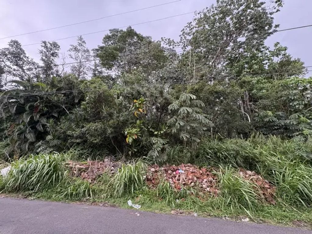 Iao St, Pahoa