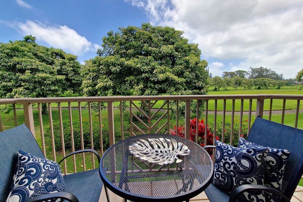 4141 Lei O Papa Rd 3, Princeville