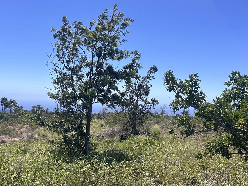 92-8436 King Kamehameha Blvd, Ocean View