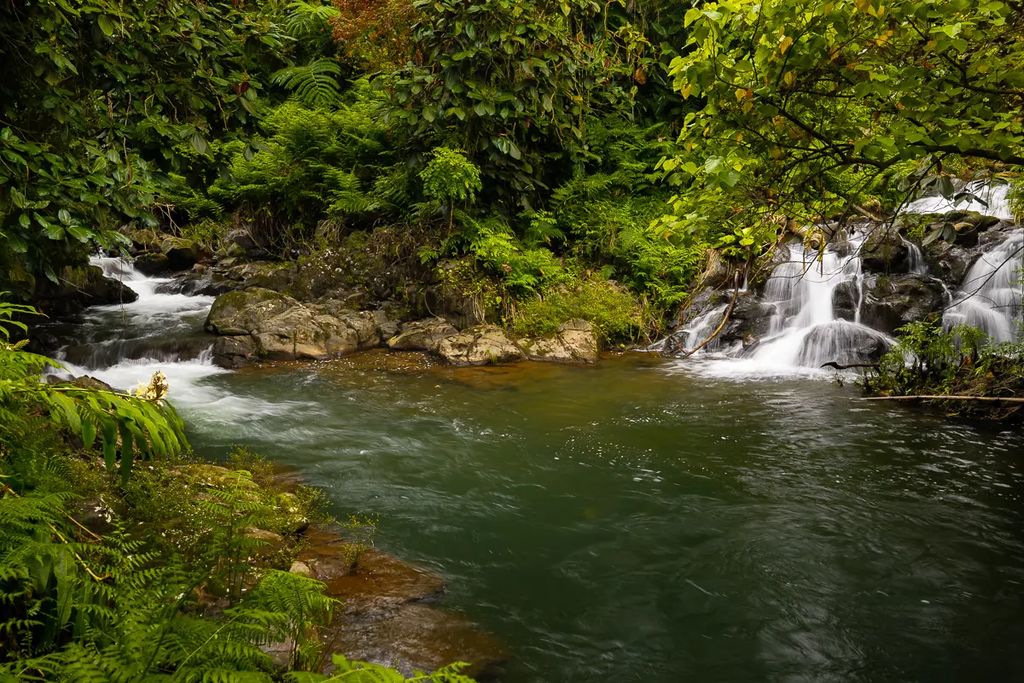 27-418 Old Mamalahoa Hwy, Papaikou