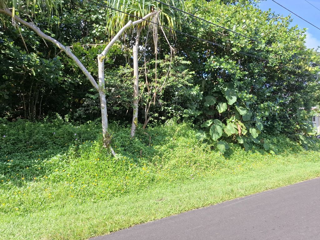 Opae St, Pahoa