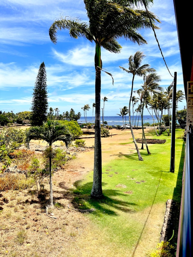 Prince Kuhio Kauai Real Estate