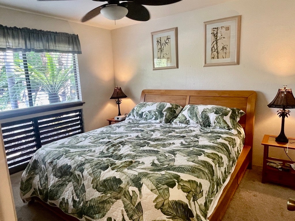 Colony I #54, PAHALA