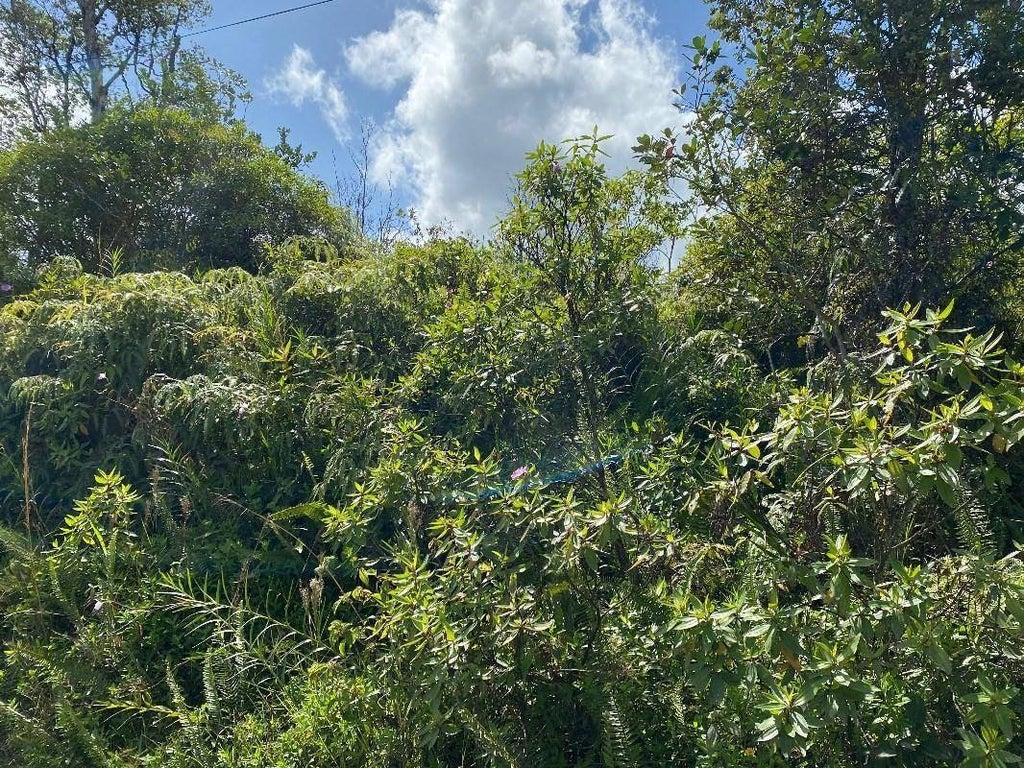 37th Ave, KURTISTOWN Property Listing MLS® 707402