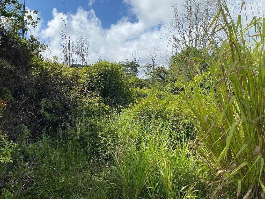 37th Ave, KURTISTOWN Property Listing MLS® 707402