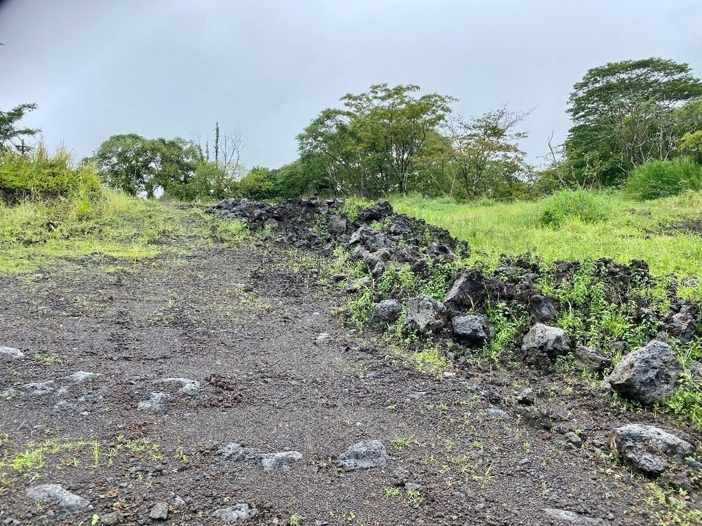 17334 Volcano Road, KURTISTOWN Property Listing MLS® 710501