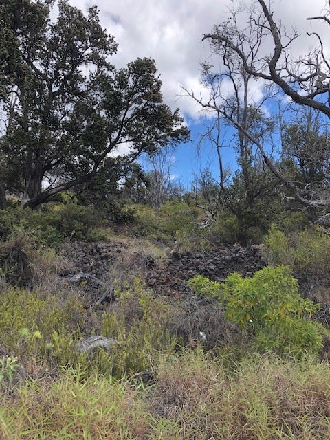 92-8268 Trade Wind Blvd, Ocean View