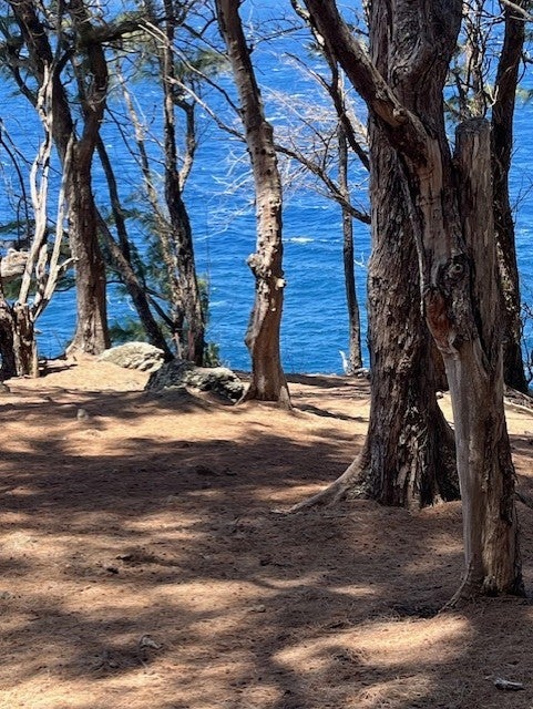 45-5060 Nanaina Kai Road, Honokaa